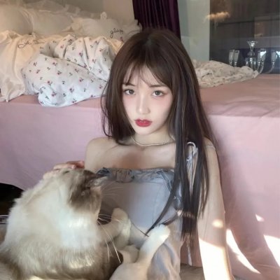 Double Face 伪装警察篇