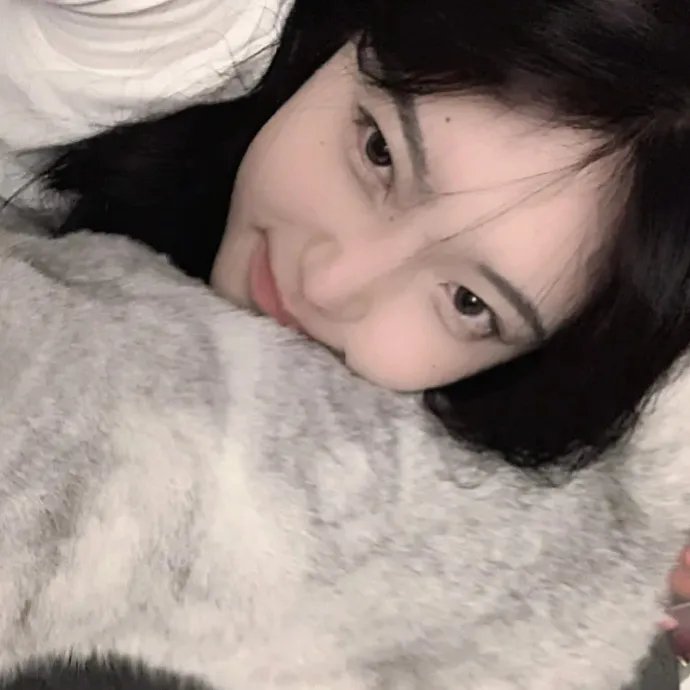 探险活宝第六季